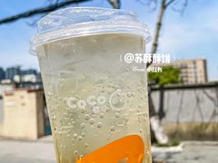 青梅泡泡-CoCo都可(台东和兴店)