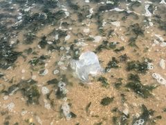 -兴城海滨风景区