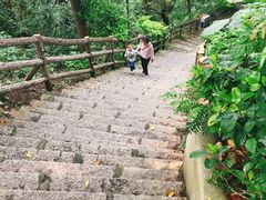 -金鸡山公园