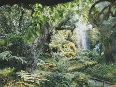 -Chom Cafe and Restaurant