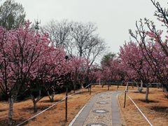 -燕郊植物园
