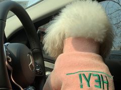 -天津波士信达奔驰4S店(卫津南路店)