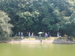 -象山森林公园