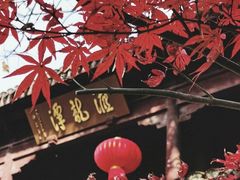 -汇龙潭
