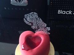 -BLACKSWAN黑天鹅(环球店)