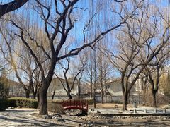 -玲珑塔公园
