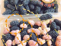 -南京小时候桑葚采摘园