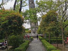 -上海佘山国家森林公园天马山园