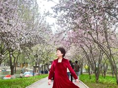 -石家庄市植物园