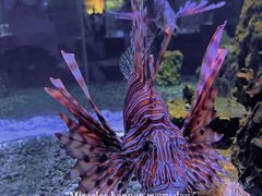 -海合安天津极地海洋公园