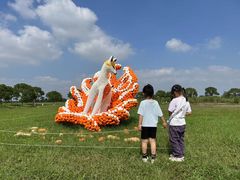 -上海都市菜园