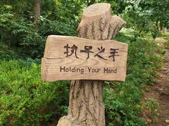 -燕窝岭
