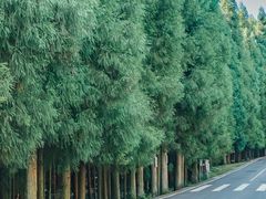 -山王坪喀斯特国家生态公园