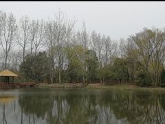 -溱湖国家湿地公园