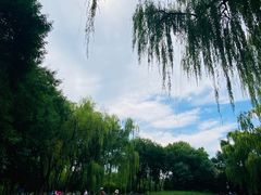 -玲珑塔公园