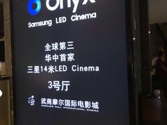 -武商摩尔影城(国广IMAX激光店)