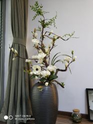 -酉嘉瑜伽YO+YOGA