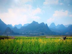 -万峰林风景区