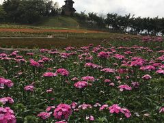 -东部华侨城