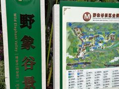 -野象谷景区