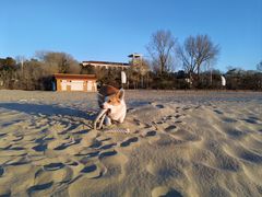 -老虎石海上公园