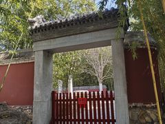 -皇家御河游(紫御湾码头)
