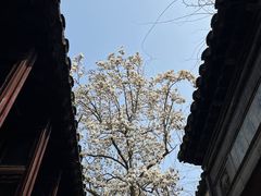 -拙政园