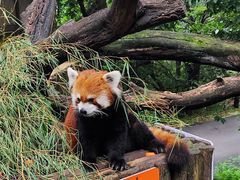 -云南野生动物园