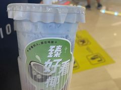 雪燕椰椰冰-炖物24章·顺时轻养茶(杭州保利时光里店)