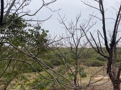 -北海金海湾红树林生态旅游区