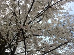 -必胜客(城西银泰店)