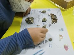 -沈阳海洋探索中心