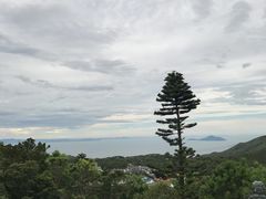 -天坛大佛