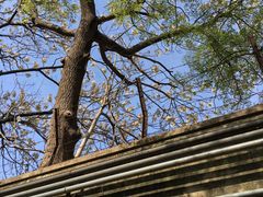 -上海市龙华烈士陵园