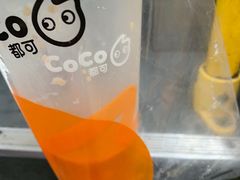 -CoCo都可(惠山古镇店)