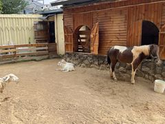 -HERRE·FARM 赫尔露营农场·团建聚会包场