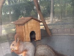 -北京野生动物园