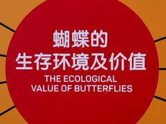 -LuOne凯德晶萃广场(徐家汇路店)