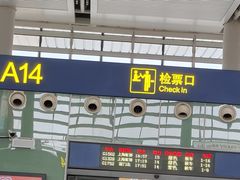 -西湖游船