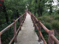 -商洛老君山旅游风景区