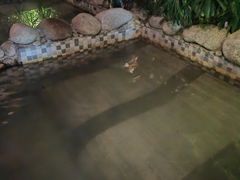 -三江森林温泉度假区