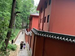 -黔灵山公园