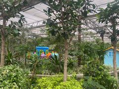 -南宫五洲植物乐园