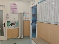 -瑞派·关忠动物医院·猫专科·犬专科(三环新城店)