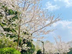 -莹珠阁·私房菜