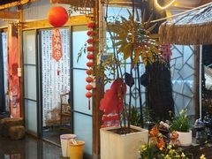 -小小饭店·休闲农庄·安吉松树林里的农家菜