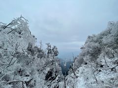 -峨眉山风景名胜区