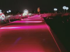 -西域欢乐城