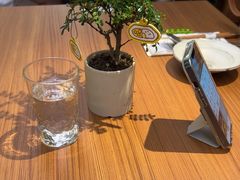 -CURRY YA 熟成咖哩專門店(深圳湾万象城店)