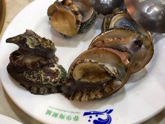 -春华海鲜城(广场西苑店)